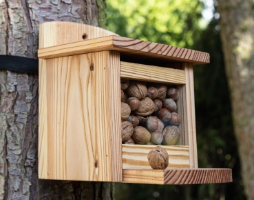 Eichhörnchen Futterhaus , Wildtier Futterhaus , Eichhörnchen Nußspender